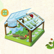 儿童自制DIY迷你小盆栽种植物培育观察箱动手培养蔬菜水果花卉