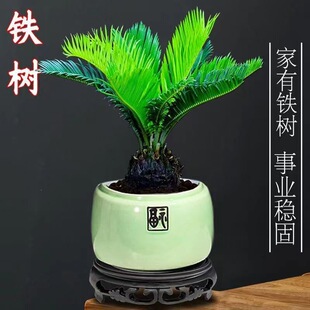 �F�������辰�͏d�̨�����՚��k���҃Ȼ��ܸߜ��ͺ�����Gֲ����