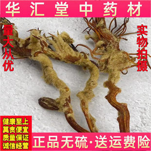 ���u�F�仨 �ƻ�500�� ���x���F�仨 �����F���ۻ� �F������]