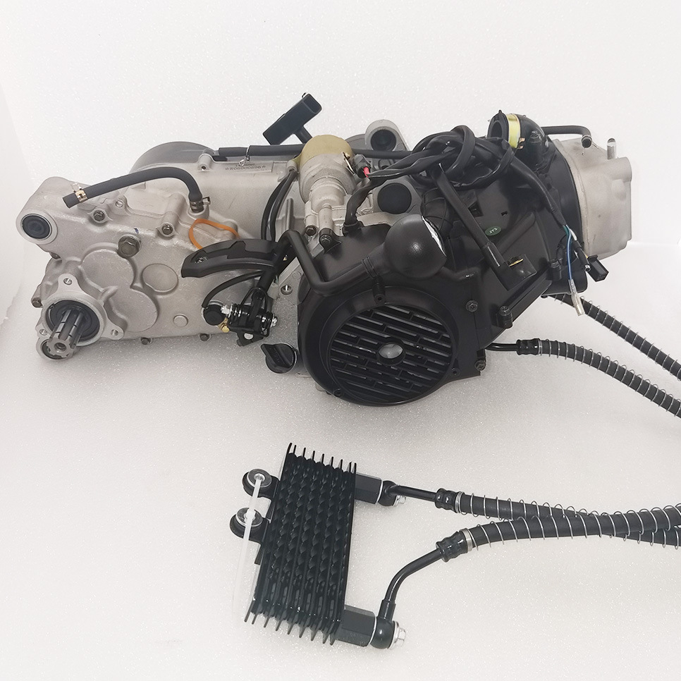 Golden Wave Gy6 200Cc Oil-Cooled Engine with Hand-Pull Start, Stepless Transmission, and Reverse Gear for Beach Buggy and Go-Kart