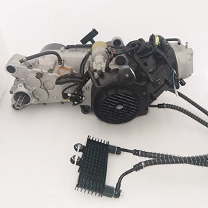 Golden Wave Gy6 200Cc Oil-Cooled Engine with Hand-Pull Start, Stepless Transmission, and Reverse Gear for Beach Buggy and Go-Kart
