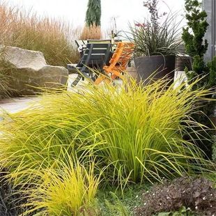 ���~ʯ���ѵر����Rֲ������ֲ��Gֲ���ˮ�Զ��������B��z�ͺ�