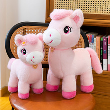 2026�R�꼪��������С�R�ɐ���ż��ɫ�R�_�T�t��߹���ë�q�����