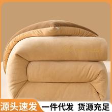 牛奶绒毛毯2025新款加厚被子冬被冬季保暖棉被学生宿舍单人被芯被