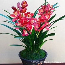 ī�m�m���� ���P�ڝ����҃��ļ����m�����ͺ� �Gֲ��ԭ���Ժ��B