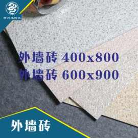 福建外墙砖 别墅自建房主体瓷砖600X900 防滑致密底胚厂家批发