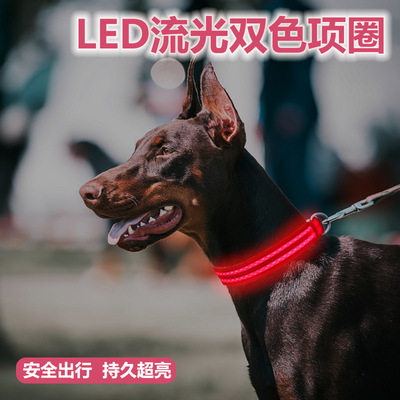 狗狗發光項圈可充電夜光頸圈寵物夜間防丟失脖圈小中大型犬遛狗燈