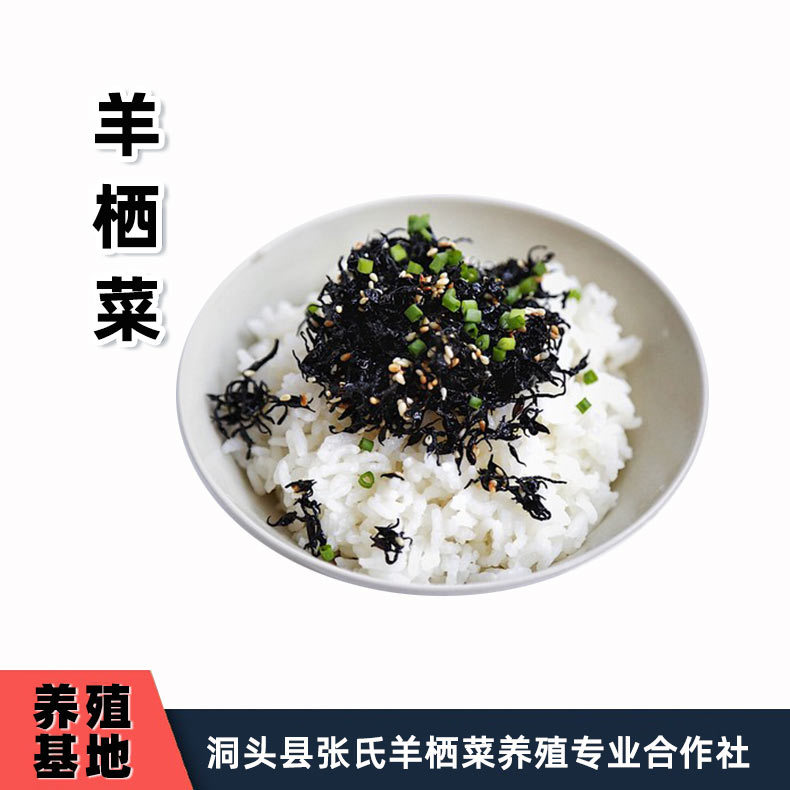 羊栖菜干货 新鲜拌饭日本洞头 东海食用海草