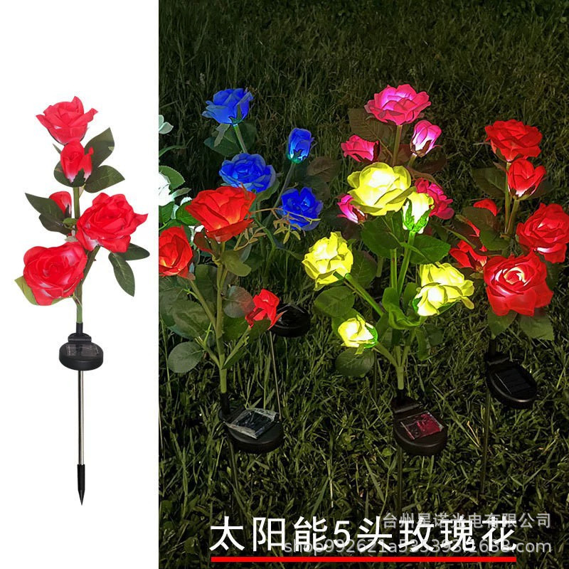 빨간 다섯 머리 장미