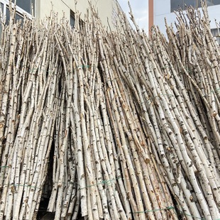 ��ľ�U�ɘ�֦��֦��������b���ԭľ��U�ט�䘶��c��֧�쾰