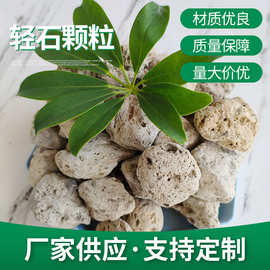供应轻石兰花多肉栽培基质用轻石颗粒园艺造景水处理轻石滤料厂家