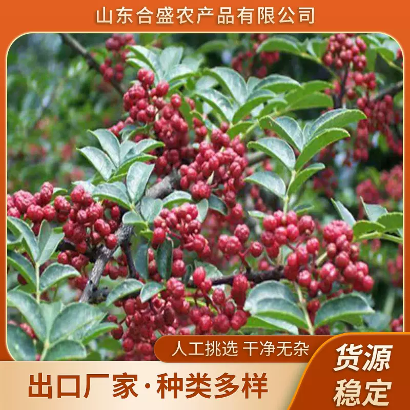 厂家定制袋装大红袍花椒麻椒500g红花椒粒特麻特香花椒卤料香料