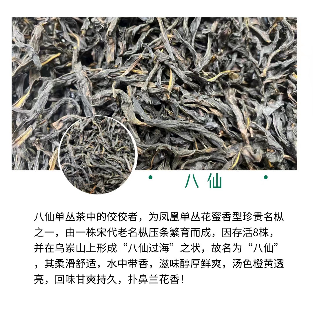 微信图片_20231009144449