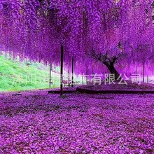 �໨���ٷN�� �����辰 �·N�ӾG���е���ľ��ľ��N�� ����ֲ��