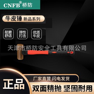���/CNFB  T8S2101 �ܱ�ţƤ�N