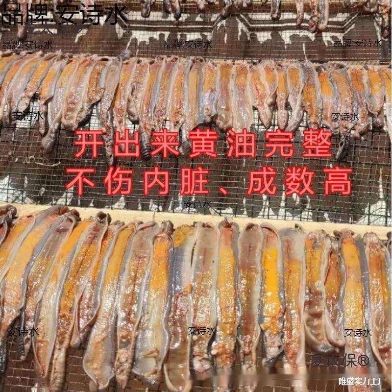 太保蚯蚓全开机蚯蚓开肚机地龙全开机地龙开肚机开膛机破麦太保