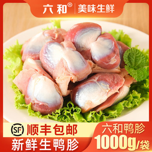 ����S���]�������������r��������uζ�u�����������θ��؛���l