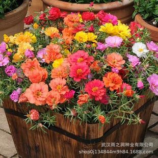 �ذ�̫ꖻ��N�ݻ�ɫ���N�_�������׻��̨ͥԺ�҃��������Ե���