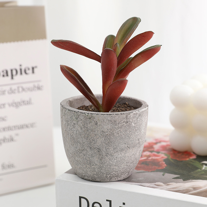 クロスボーダーの人気モデルのミニ多肉セットの原パルプ鉢の人工の小さい肉の偽の花の卸売りの背景の写真撮影の道具|undefined