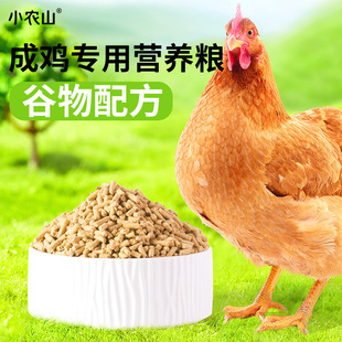 �д��u�������s�Z�J���u�a���µ��w���u�Z�uʳĸ�uС�u��~��C