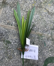 PE�ָз����~���m�~�����|�л��m�~�廨���PEܛ�ϻ����m���~�L��