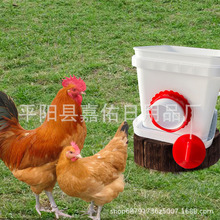 跨境DIY鸡喂食器套件端口防雨家禽重力自动下料喂鸡饲料给料器