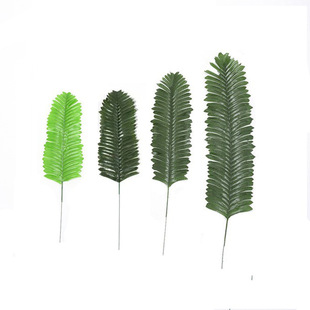 �����F���~ ����ֲ���~ɢβ�~�Gɫ�����}���~ֲ���Ļ�c���