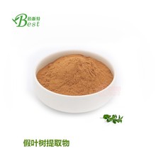 现货 假叶树粉 10:1 各种比例 源头厂家 免费拿样 假叶树提取物