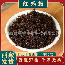 ����Ұ���tΛρ��ș��������؛�o��ߺ���ρ��Λρ�ط��ݾ����P��