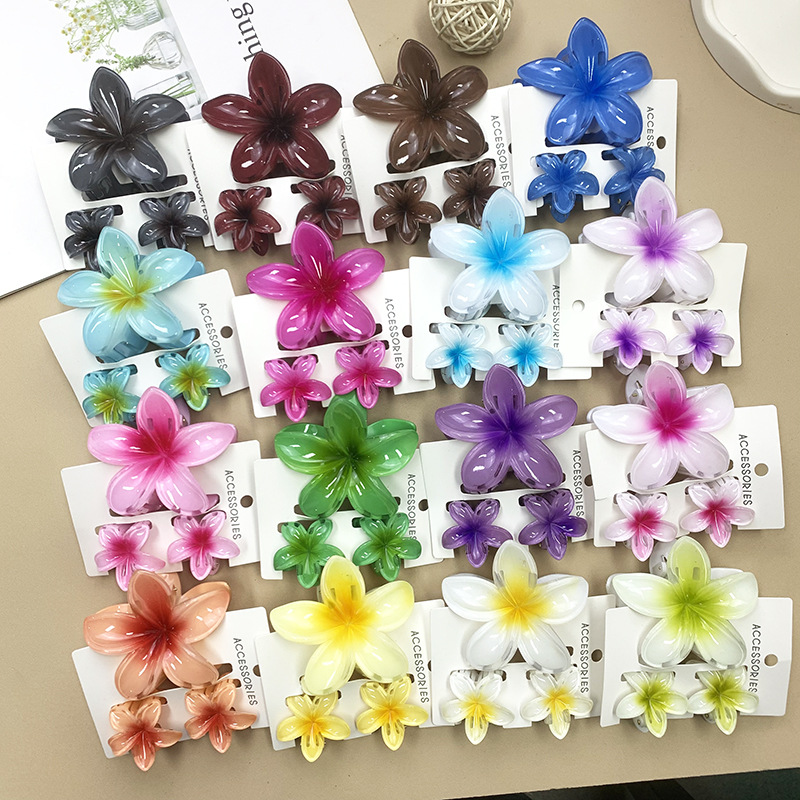 96g Weight Hair Claws Hair Accessories Type 1 Set Quantity Daily Occasion Plastic, Resin Material Plumeria Pattern All Seasons Season Women's Gender Stoving Varnish Design Cute Style Cute Women's Plumeria Plastic Resin Stoving Varnish Hair Claws 1