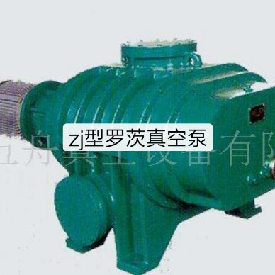 罗茨真空泵