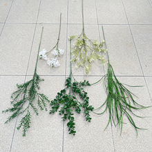 ��ϵ�оGֲ  2025�¿� ɭ��ϵ��Y���� ��c�����廨����