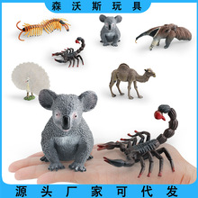 跨境儿童仿真野生动物摆件认知考拉食蚁兽蝎子骆驼孔雀蜈蚣模型