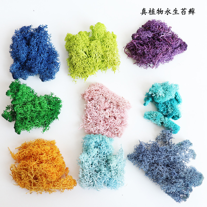 Eternal moss color moss micro -landscape DIY decorative green plant…