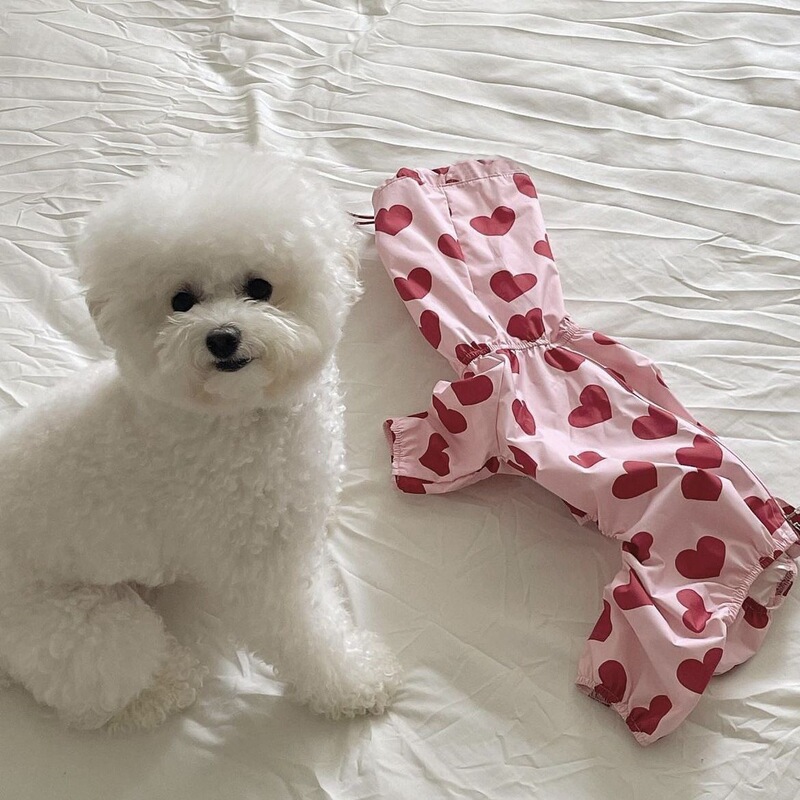 Ins-Style New Korean All-In-One Waterproof Heart-Shaped Cloud Print Raincoat for Dogs, Cute Hooded Clothing Ins-Style New Korean All-In-One Waterproof Heart-Shaped Cloud Print Raincoat for Dogs, Cute Hooded Clothing