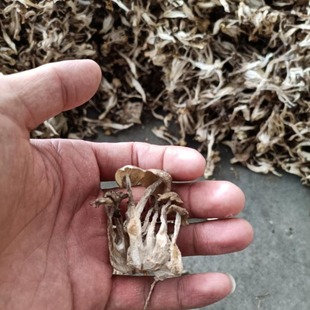 ʳ�þ�зζ����Ʒзζ�̳��Ƶ����l250g�o������خa�F؛���l