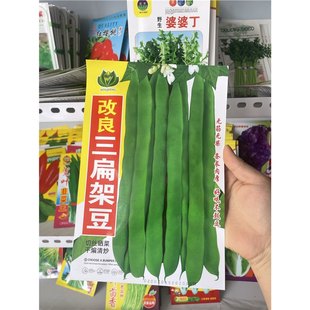 �θ�������ܶ����ǷN���r�Ҵ�ܶ����ѕ�z���o��o�񲻹Ķ�