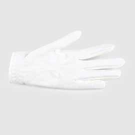 骑行手套;护手;滑雪手套