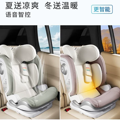 Can Be Used for Sitting and Reclining, Other vehicle seats