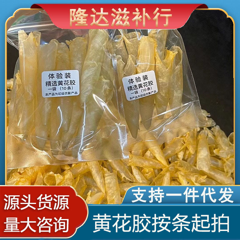 小黄花胶筒10条体验装鱼胶海味干货批发散装黄花胶清平招代理代发
