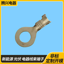 �����B�������� �S�~�Ӿ������B������� R�Ͷ��^�S��ֱ�No�Ͷ���