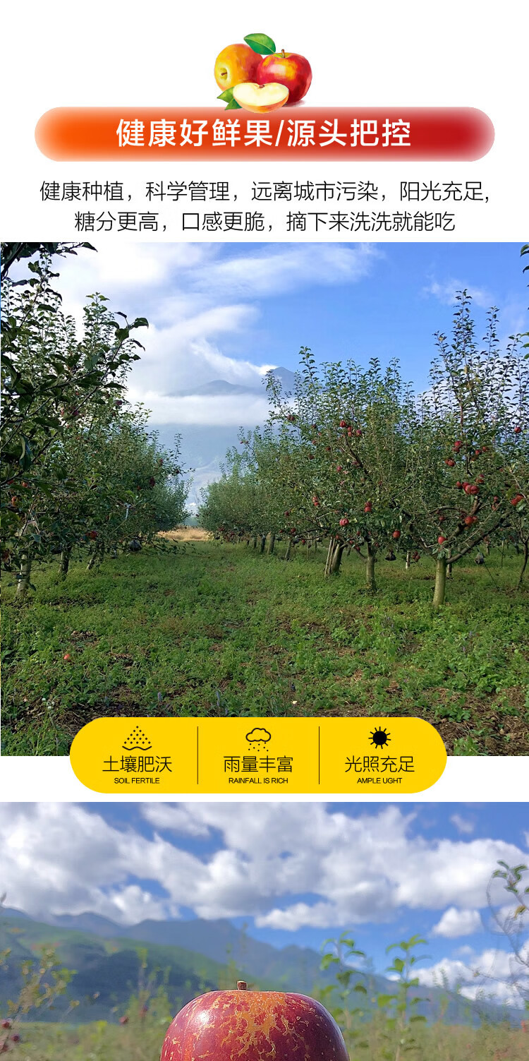 一键复制_20221007120324