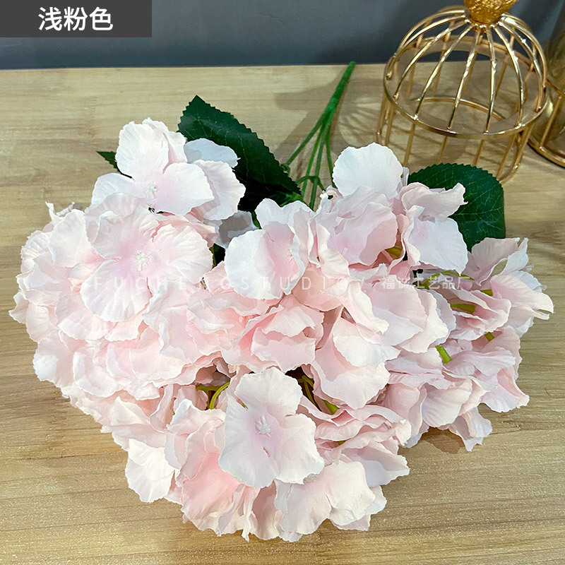 Light powder (5 beams per color, less shots, no hair)