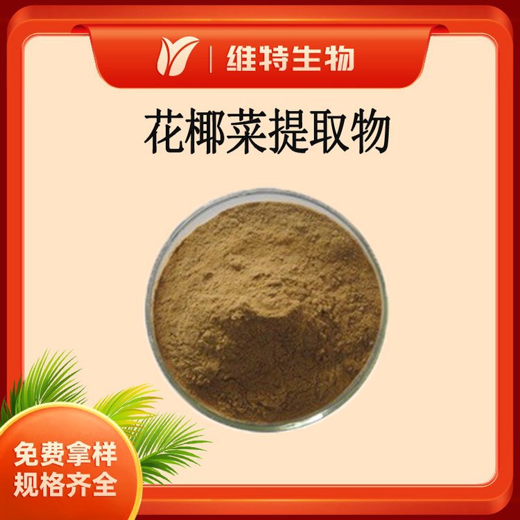 维特生物 花椰菜提取物10:1 花菜粉 花椰菜水溶粉