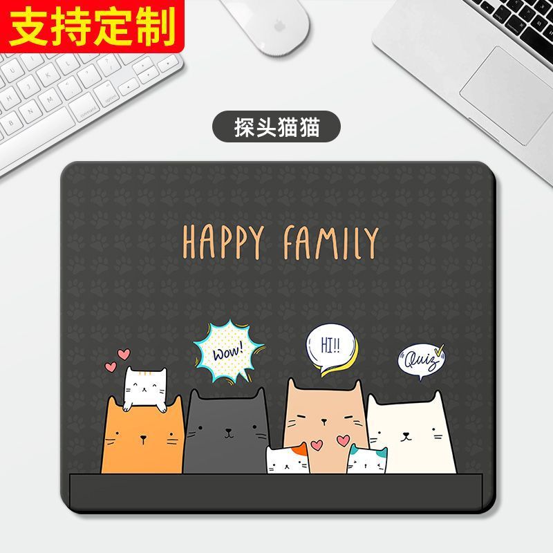 광장 조사 고양이