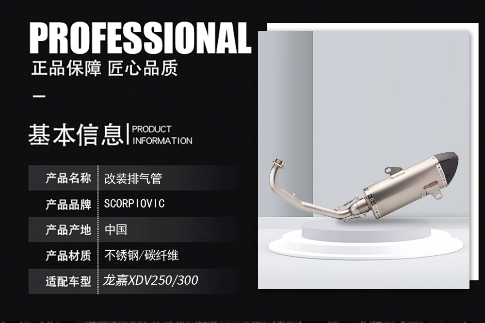 龙嘉XDV250详情_03.jpg