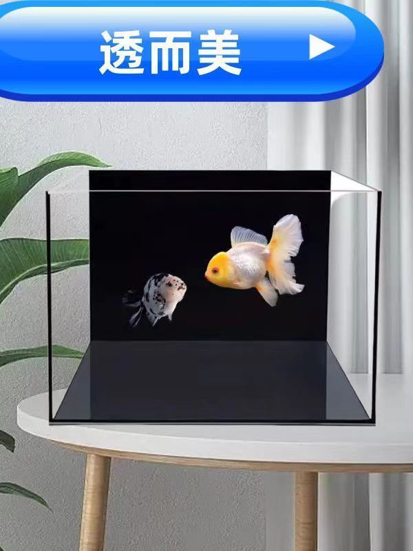 d65983f3-88a4-4606-9582-7922e806e40f.jpe