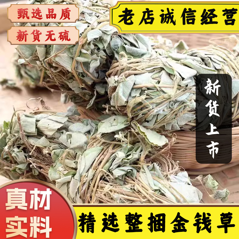 中药材精选正宗广西大叶金钱草扎捆新鲜干货广金钱草泡茶水中草药
