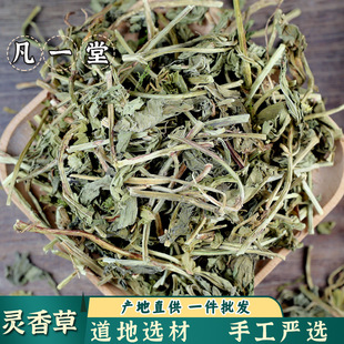 ��һ�õ����x�� ������ �`�� �`��� Ѭ����������Ѭ�ɟo�۰l؛