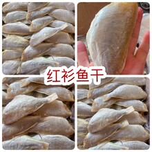 �t���~�ɵؔ�������l�t���~�ɼtɼ�~�ɼt���~�ɽ��~�ɸ��~